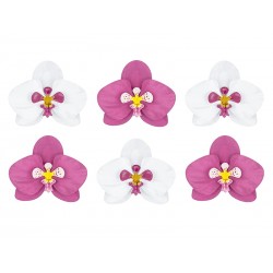 Dekoracje papierowe Aloha - Orchidee